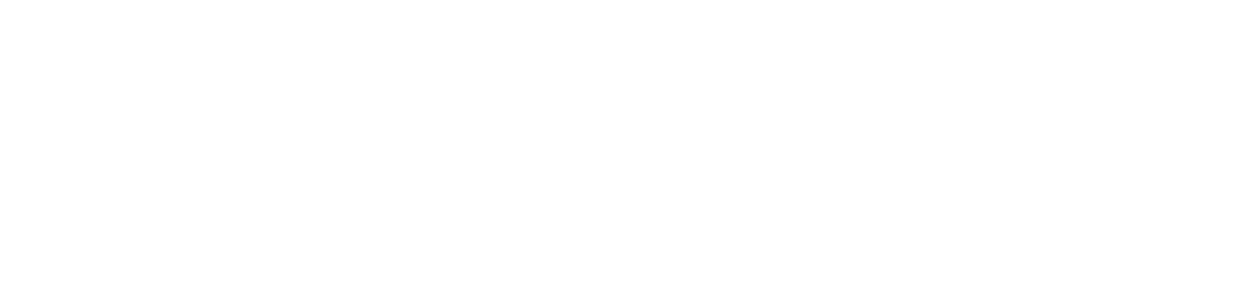 FortiPOS